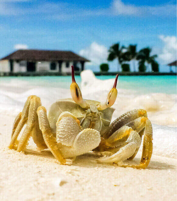 Travel article thumbnail